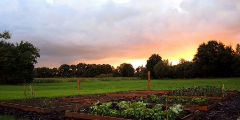 Cesty mezi postelemi - co dělat v zemi od plevele